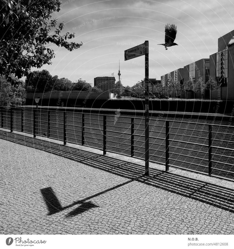Regierungsviertel Krähe Schattenwurf in SW Schwarzweißfoto schwarz schwarzweiß Schwarzweißfotografie schwarzweiss in farbe Berlin Berlin-Mitte