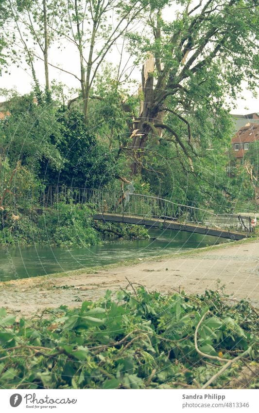 Zerstörung eines Baumes und einer Brücke durch einen Tornado Klima Klimawandel Umwelt Natur Außenaufnahme Menschenleer bedrohlich Unwetter schlechtes Wetter