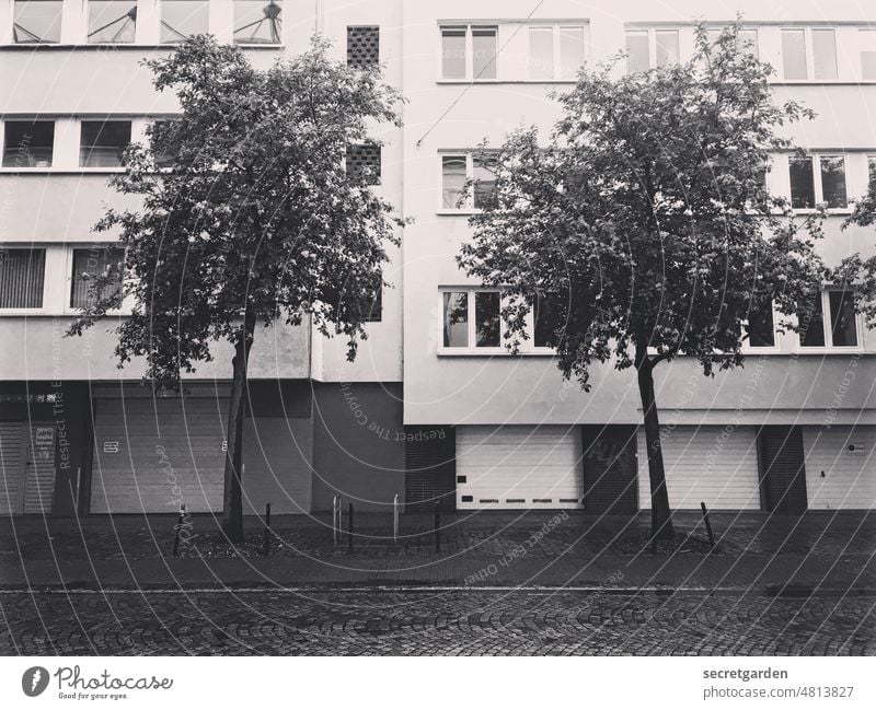 [UrbanNature HB] Stadtbegrünung Baum Straße Bremen Gebäude Fassade trist Garagentor langweilig Schwarzweißfoto Pflastersteine Haus leer Menschenleer