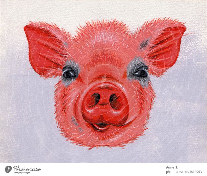 Gemaltes Portrait eines süßen Ferkels mit viel Rosa. Fleisch Nutztiere Vegetarische Ernährung Vegane Ernährung Tierporträt vegetarier vegan veganismus