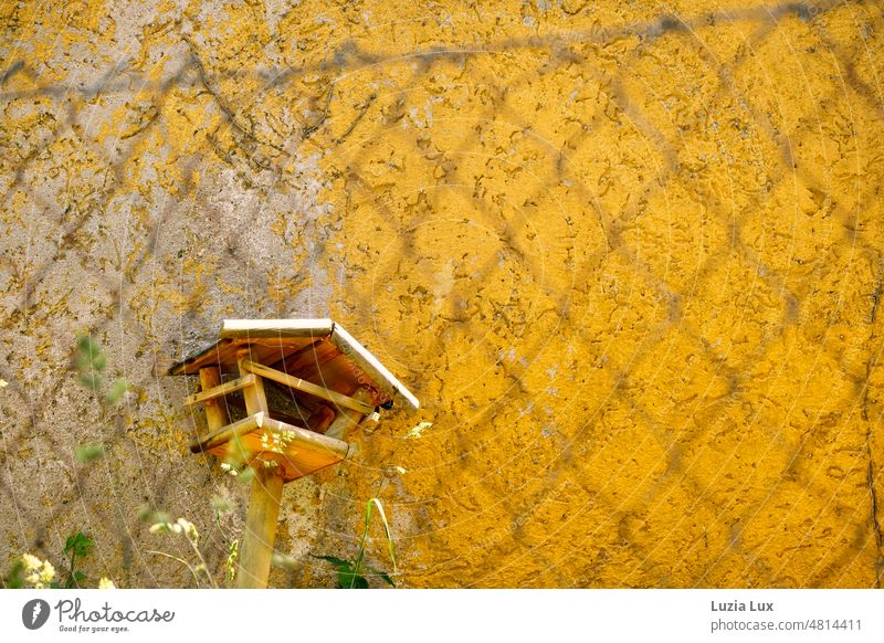 ein altes, kaputtes Vogelhäuschen lehnt an einer gelben Hauswand, hinter Maschendrahtzaun. Die Sonne scheint und die Halme im Vordergrund sind grün. Vogelhaus