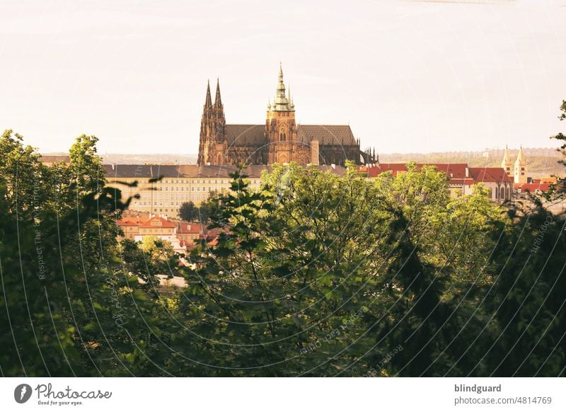 Die Stadt der 1000 Türme Kirche Prag Tschechien Europa Städtereise Ferien & Urlaub & Reisen Hauptstadt Außenaufnahme dächer Tourismus historisch