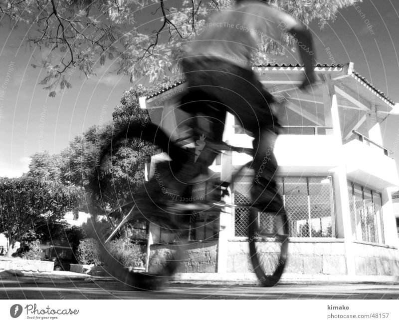 Biker Kind Himmel Fahrrad Zicklein Platz Baum place tree sky Schwarzweißfoto Mexiko kimako schwarz und weiß