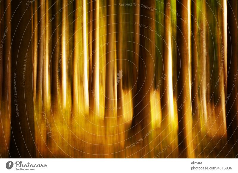 Ziehfoto / Langzeitbelichtung eines Waldes in verschiedenen Brauntönen / Wald Design / Abstraktion / Baumstamm wusch Deko Dekoration Tapete Lichtung Holz zoomen