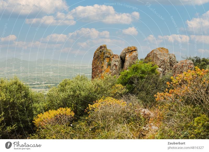 Felsen aus Vulkangestein, Blick in die Landschaft, Wolfsmilchbäume auf Sardinien Weitblick Panorama Horizont Himmel Wandern Natur Vegetation Büsche Frühling