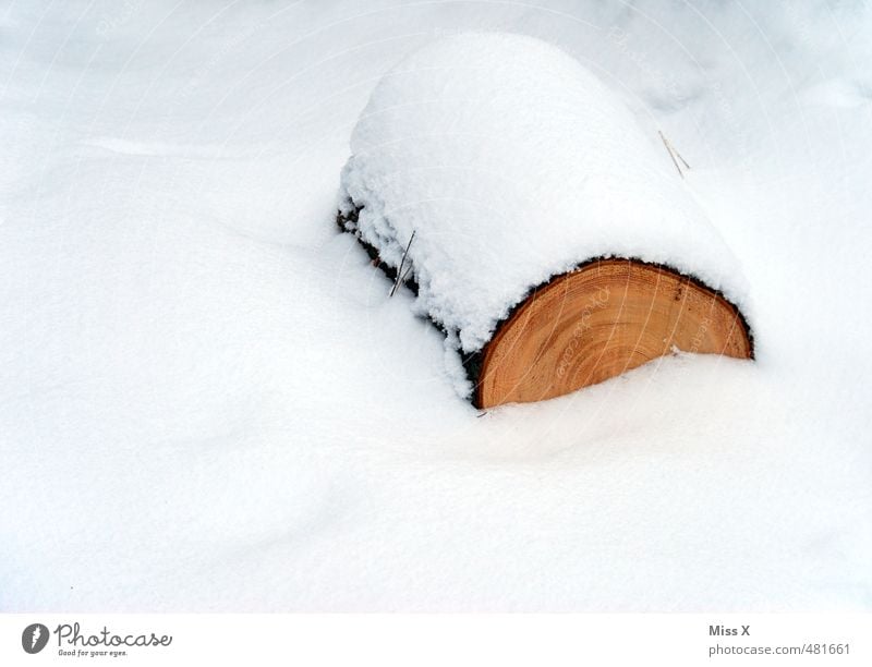 Schneesturm Winter Schneefall Holz kalt Baumstamm Brennholz Baum fällen Forstwirtschaft Jahresringe Schneedecke Winterwald Farbfoto Außenaufnahme Menschenleer