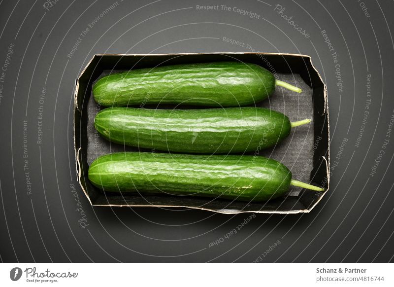 drei grüne Gurken in einer schwarzen Pappschale auf schwarzem Untergrund Salat Gemüse zu dritt Ernte gesund vegetarisch Lebensmittel verpackt frisch Ernährung