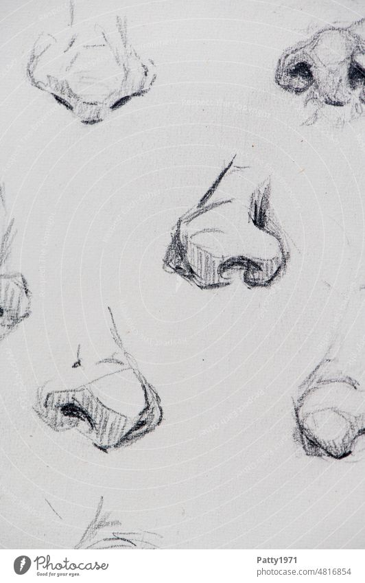 Bleistiftskizze mehrerer menschlicher Nasen aus verschiedenen Blickwinkeln Skizze Mensch Zeichnung Grafik u. Illustration handgezeichnet viele Körperteil