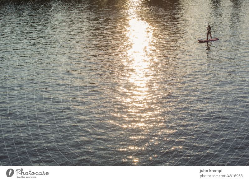 Rollbrettpaddler Stand-Up-Paddling Surfen Fluss Wasser Sonne Sonnenuntergang Sonnenaufgang Meer Gewässer Wassersport Erholung Außenaufnahme Sommer Sport