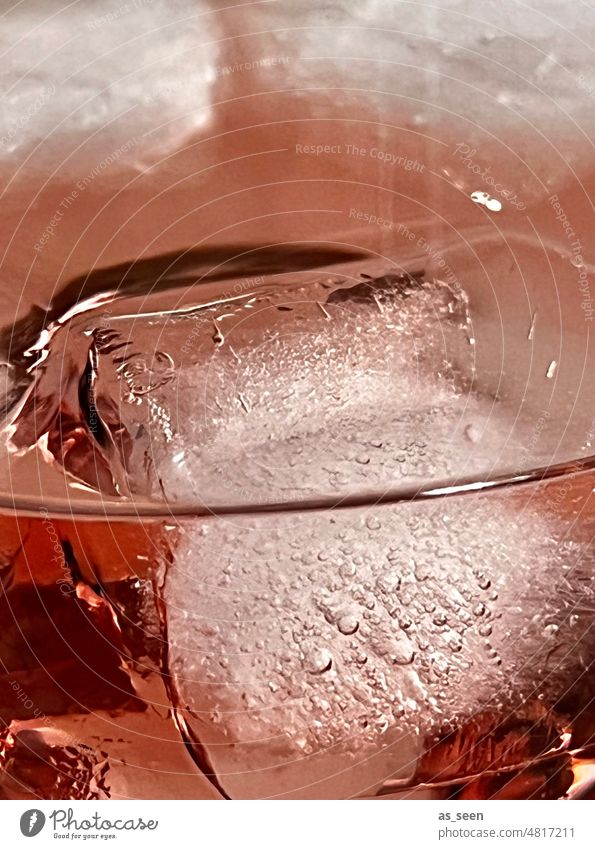 Icecube Weinglas Erfrischung Getränk trinken Glas Alkohol Party Lifestyle Eiswürfel Sommer Feste & Feiern Bar genießen Erfrischungsgetränk Cocktail Spirituosen