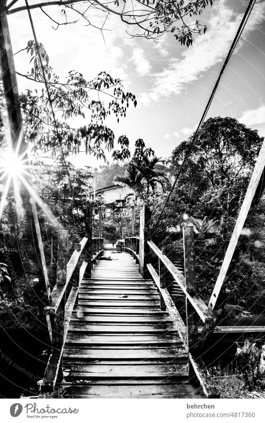 über brücken gehen Idylle Flussufer Dämmerung Palme Sonnenstern Natur Gegenlicht fantastisch traumhaft besonders wunderschön Sonnenlicht Asien exotisch Brücke