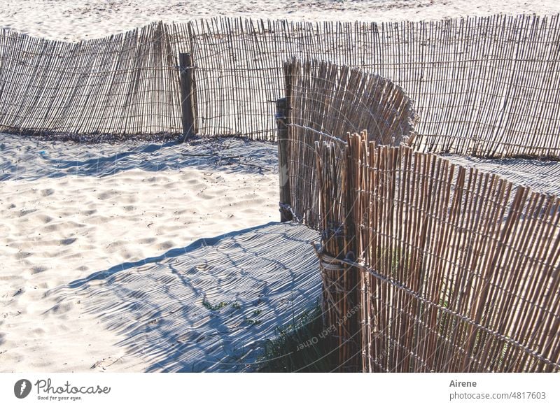 am Strand herumstreifen Schatten Zaun Streifen Schilf Schilfzaun Sandstrand Kontrast Strukturen & Formen Muster Sonnenlicht Linien Konstruktion Schutz