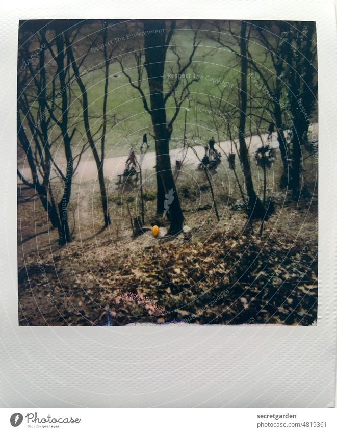 Von oben herabgucken auf die Welt Park Hamburg Berg Hang abwärts unten Bäume Baum grün Polaroid analog Fußgänger Corona Spaziergang Winter kahl Rasen steil