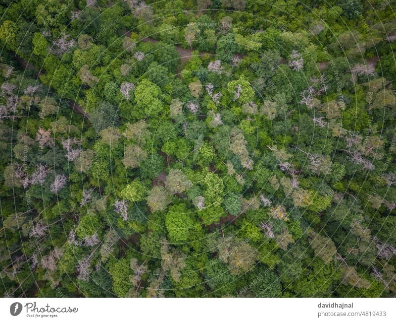 Luftaufnahme von einem Wald bei Mannheim. Antenne Dröhnen Baum Deutschland Europa Wahrzeichen Landschaft Berge u. Gebirge Himmel Natur Felsen Tal Cloud schön