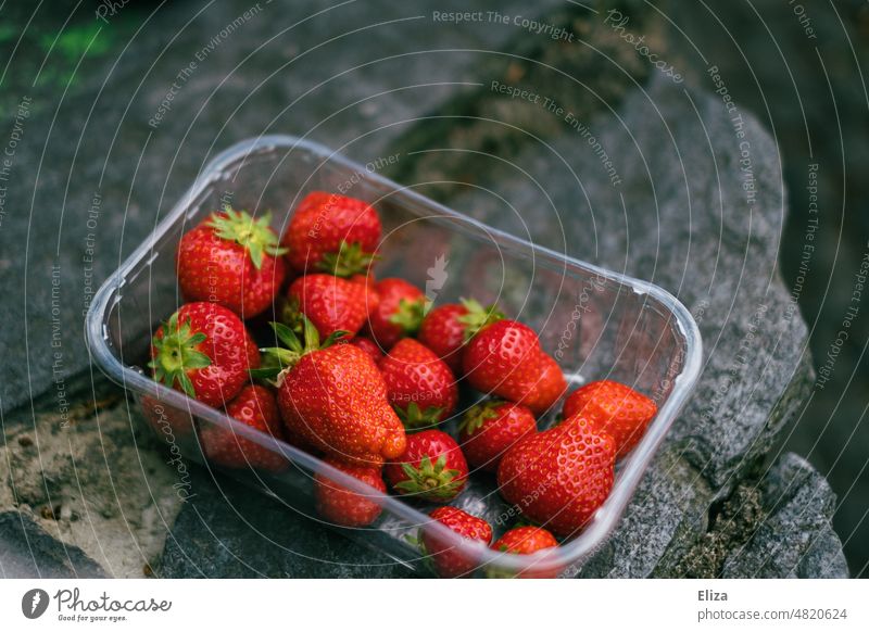 [hansa BER 2022] Schale Erdbeeren in einer Plastikpackung auf Stein Packung rot Frucht Obst lecker Lebensmittel Erdbeerzeit reif fruchtig Beeren