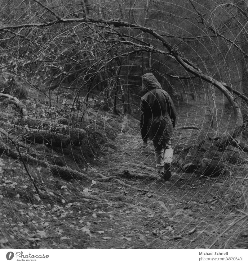 Junge läuft durch den Wald Waldweg Waldwege Bäume Spaziergang wandern Wege & Pfade ruhig Einsamkeit allein einsamer weg aufpassen Vorsicht schräg