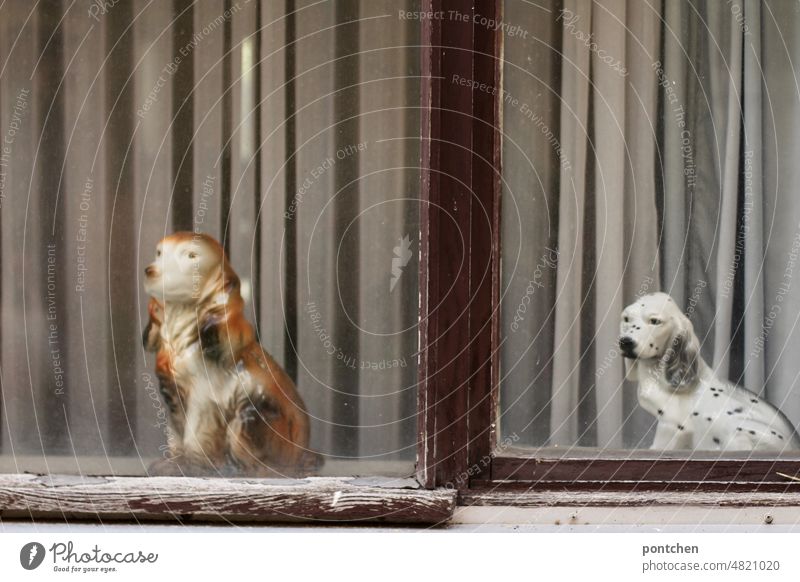 Tierliebe. Zwei Hunde aus Porzellan in einem schäbig aussehenden Fenster. Kitsch porzellan dekoration porzellanhunde porzellanfiguren fensterdekoration