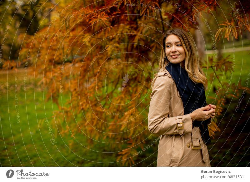 Schöne junge Frau im Herbst Park Schönheit Kaukasier Porträt Menschen Mode Glück schön heiter gelb Behaarung fallen Lifestyle im Freien Gesicht Saison Person