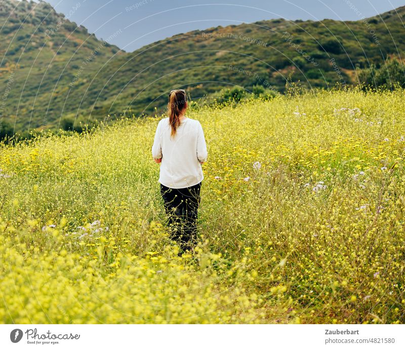 Frau in Rückansicht steht auf einem Feldweg im gelben Blumenmeer vor einer Hügelkette Ginster schauen Wandern Landschaft Natur Himmel Vegetation Frühling