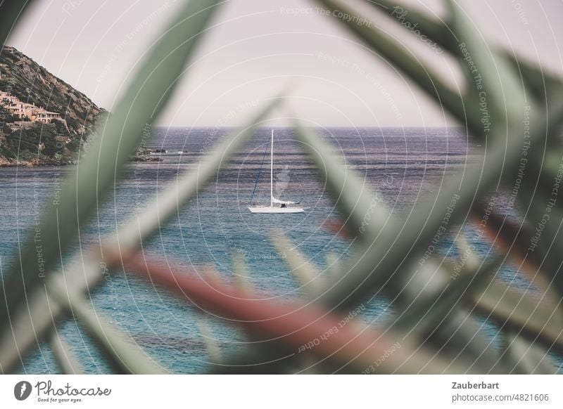 Segelyacht vor Anker in einer Bucht, durch Blätter einer Agave im Vordergrund gesehen, die ein Muster bilden Sardinien segeln Urlaub Meer Mittelmeer Horizont