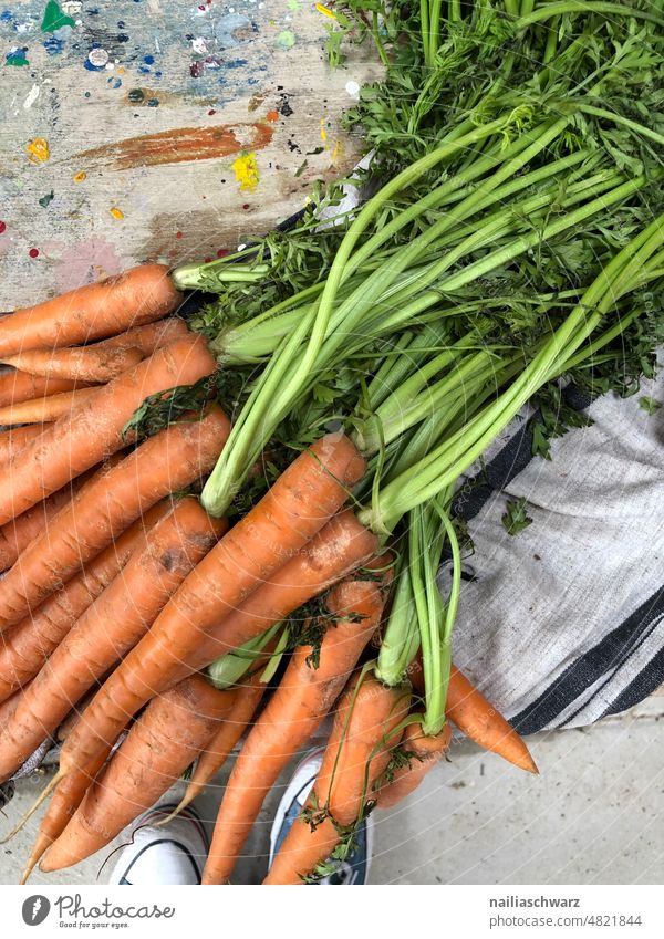 Karotten mit Grün Farbfoto rustikal einfach natürlich süß genießen rein Stillleben dunkel Mulltuch Küchenhandtücher Tuch Lifestyle Landwirtschaft