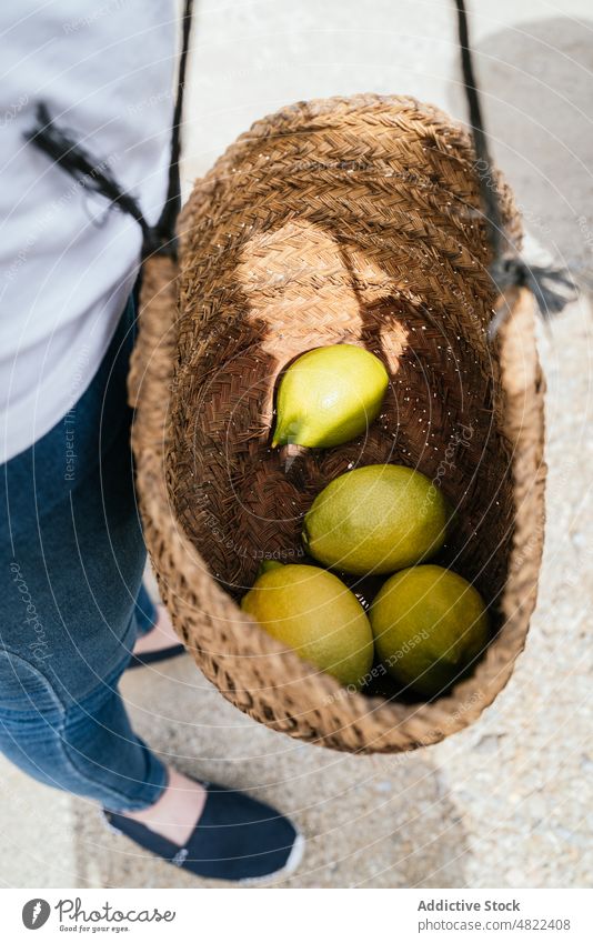 Anonyme Frau mit reifen Zitronen im Weidenkorb auf dem Bauernhof Ernte Landschaft Korb Landwirt Arbeit frisch Frucht kultivieren lässig Ackerbau Garten ländlich