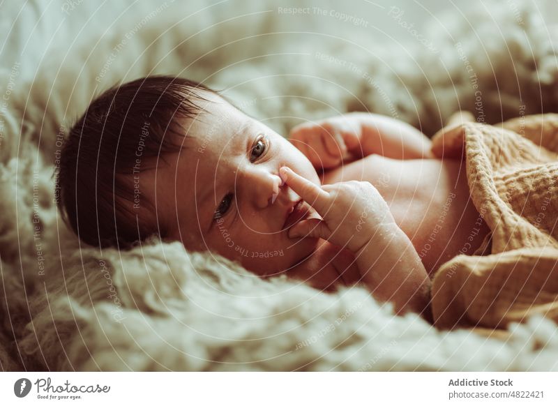 Niedliches Kleinkind auf Pelzdecke liegend Baby Lügen bezaubernd Windstille Plaid neugeboren umhüllen Porträt Säuglingsalter niedlich Komfort Kindheit Decke