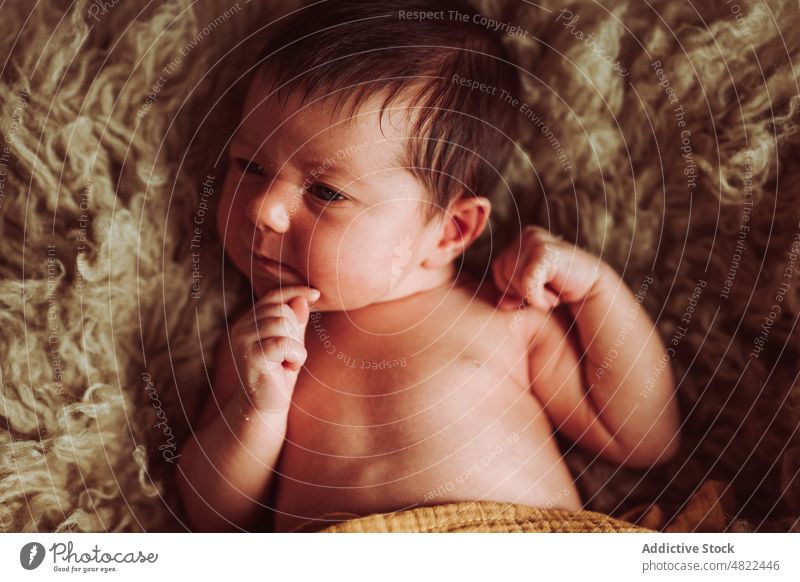 Niedliches Kleinkind auf Pelzdecke liegend Baby Lügen bezaubernd Windstille Plaid neugeboren umhüllen Porträt Säuglingsalter niedlich Komfort Kindheit Decke