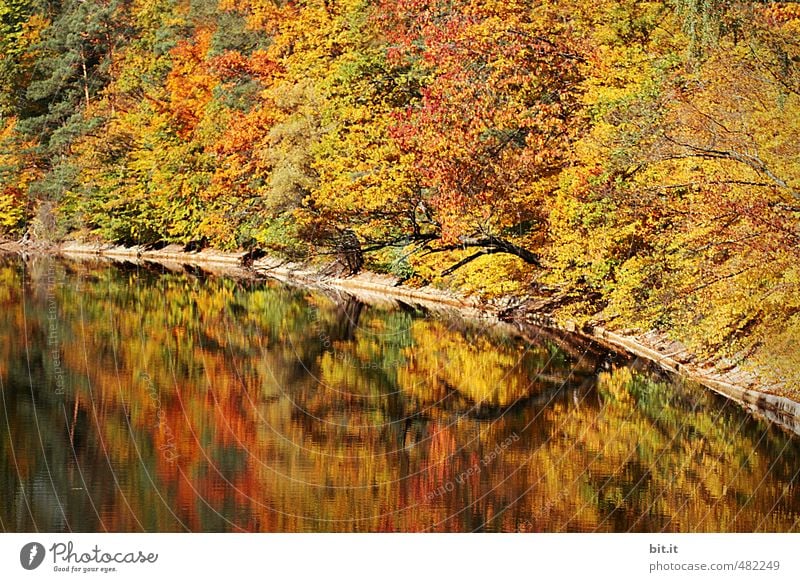 Auf zum Bärensee Ferien & Urlaub & Reisen Tourismus Ausflug Umwelt Natur Landschaft Herbst Klima Schönes Wetter Teich See dehydrieren mehrfarbig Stimmung