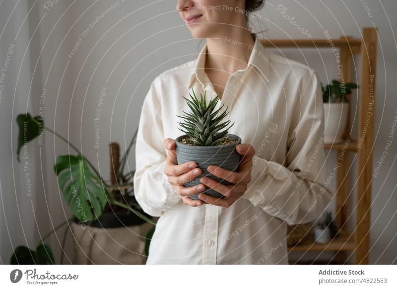 Positiv gestimmte Frau, die lächelt und Sukkulenten im Topf zeigt Lächeln Gärtner Pflanze Glück kultivieren positiv Flora Botanik froh Gartenbau heimwärts jung
