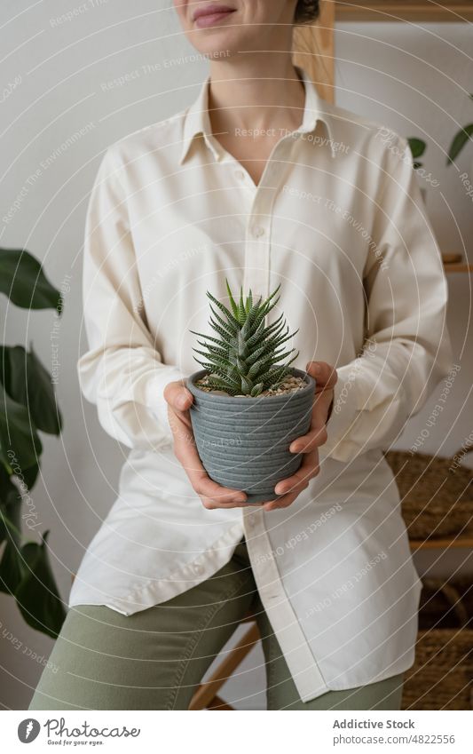 Positiv gestimmte Frau, die lächelt und Sukkulenten im Topf zeigt Lächeln Gärtner Pflanze Glück kultivieren Stuhl positiv Flora Botanik sitzen froh Gartenbau