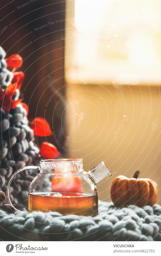 Gemütliches Herbststillleben mit hausgemachtem Tee in einer dampfenden Teekanne aus Glas gemütlich Stillleben selbstgemacht Verdunstung Wolle Decke Hintergrund