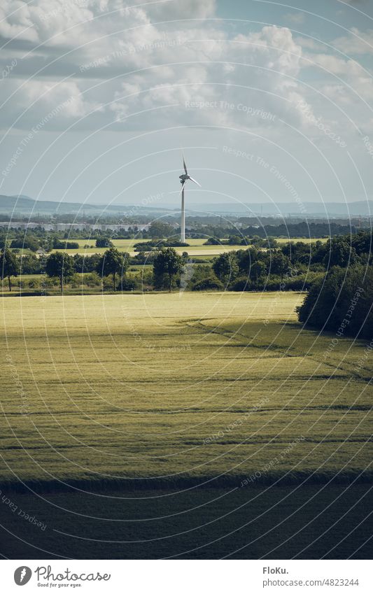 Energiewende auf dem Land Windrad Wiese Feld Aussicht Windkraftanlage Energiewirtschaft Außenaufnahme Erneuerbare Energie Himmel Umwelt Landschaft Umweltschutz