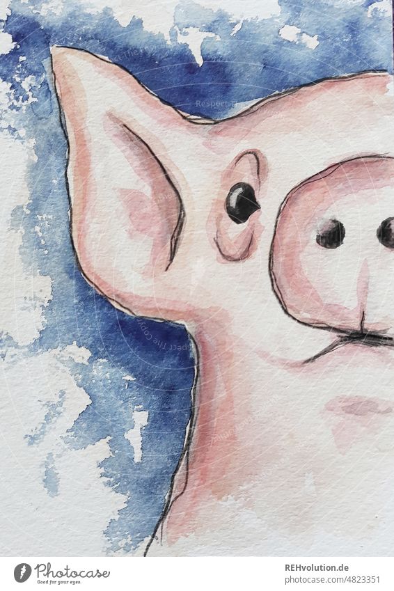 schwein Schwein Aquarell Zeichnung Tierporträt Nutztier Natur Bauernhof Landwirtschaft Neugier Glück rosa Gesicht Schnauze blau natürlich niedlich gemalt Kunst