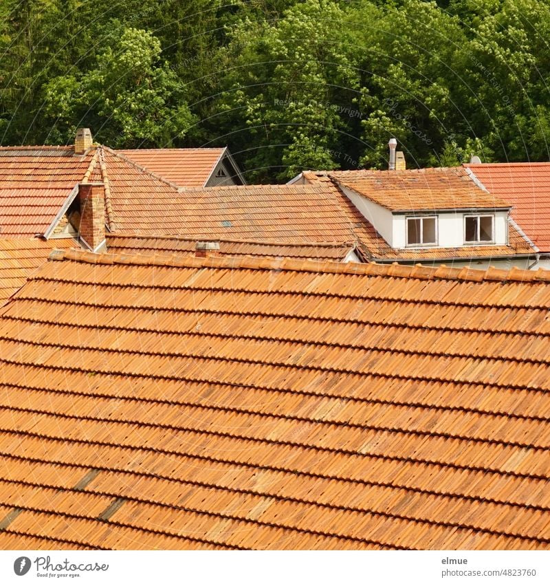 Blick über mehrere rote Ziegeldächer auf ein Haus mit Dachgaube vor einem üppig grünen Laubwald / wohnen / Zensus Ziegeldach Dachziegel Gaube Fenster Dachkapfer