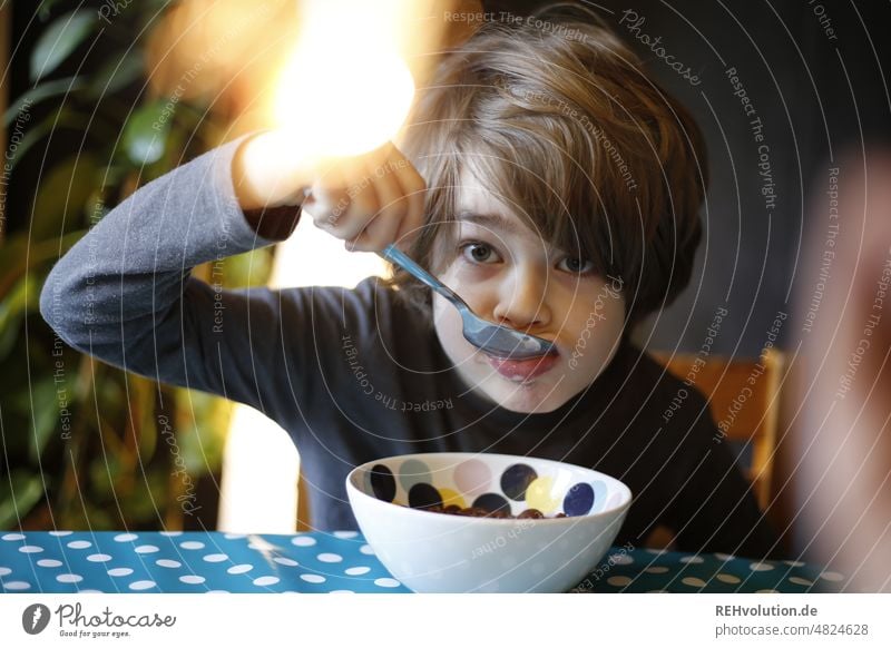 Kind isst Müsli zum frühstück aus einer Schale Kindheit Junge Essen Frühstück Müslischale Frühstücksflocken Löffel Licht Kunstlicht Porträt Blick in die Kamera