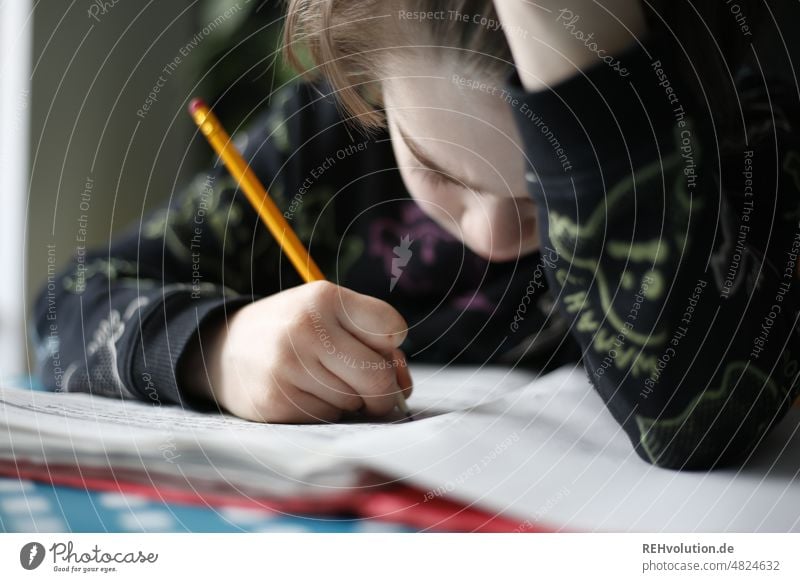 Kind bei den Hausaufgaben Junge lernen Schule Kindheit Schüler Lernen Bildung Sitzen schreibend Grundschule Wissen Bleistift Schlechte Laune Konzentration