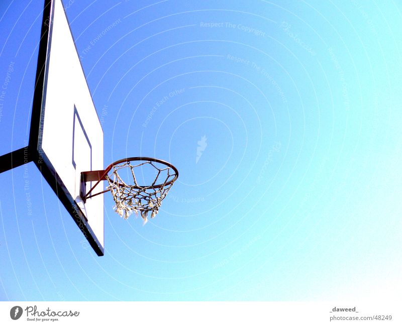 Lust Auf Basket??? Basketballkorb Korb