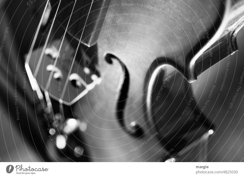 Geige Musik Streichinstrumente Saite Detailaufnahme Konzert Musikinstrument Orchester Holz Klassik Nahaufnahme saiteninstrument klassisch Bratsche Musik hören