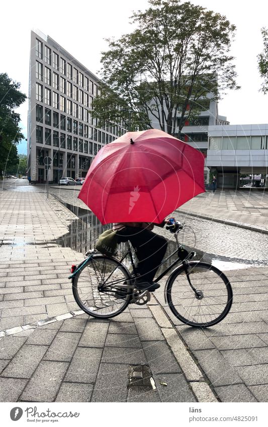 [UrbanNature HB] Fahrad fahren im Regen Radfahrer Radfahrerin Fahrradfahren Bewegung Regenschirm urban Pfütze gepflastert baum Stadt im Freien Mobilität mobil
