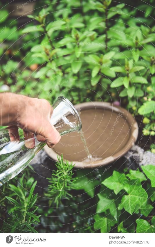 Wasser für Vögel im Sommer - Wassserschale im Garten auffüllen Wasserschale schütten Hand Tierliebe Verantwortung Mann heiß hitze helfen Vogeltränke Hitze
