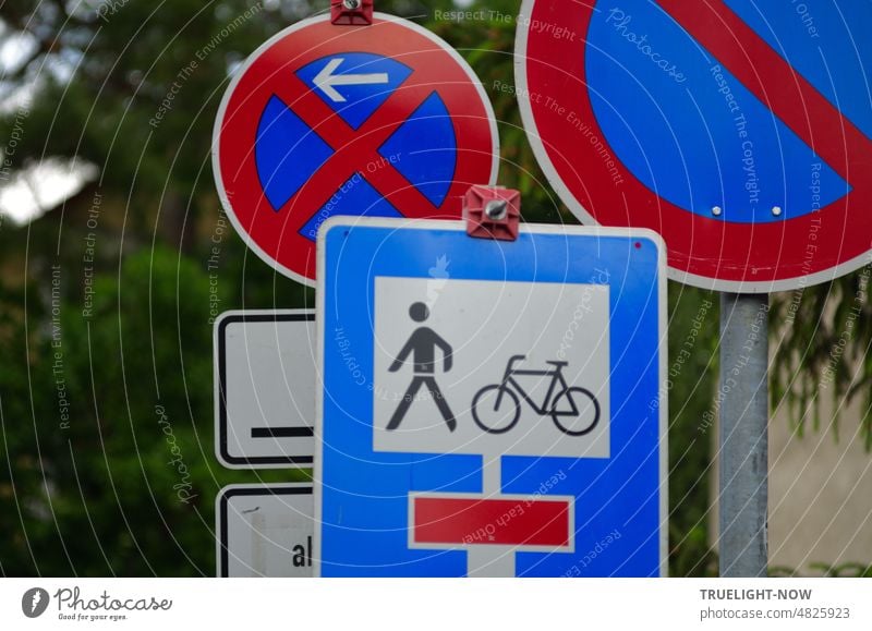 Vielfalt in der Verkehrsregelung bei einer Nebenstraßen Sanierung im Wohngebiet mit Hinweis auf Park- und Halteverbot und Sackgasse für Radfahrer und Fußgänger