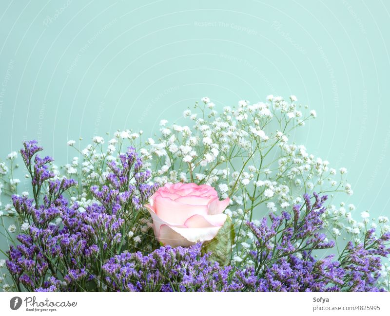 Rosa Rose mit lila weißen Blüten auf pastellgrünem Hintergrund Blume Blumenstrauß Roséwein Haufen rosa Geburtstag Pastellfarbe Hochzeit Muttertag geblümt