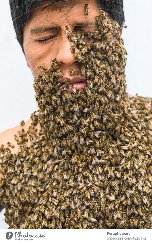 Das Gesicht eines Mannes ist von Bienen bedeckt. Schwarm Königin Kopf Liebling Insekt grün Gras Gift Stinger Stich Pheromone mellifera Person Hautflügler viele