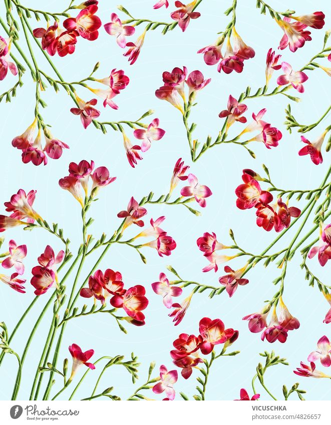Florales Muster mit roten Blumen und geschwungenen grünen Stängeln vor blauem Hintergrund. geblümt gekrümmt Draufsicht Tapete übergangslos Natur Blütezeit blüht