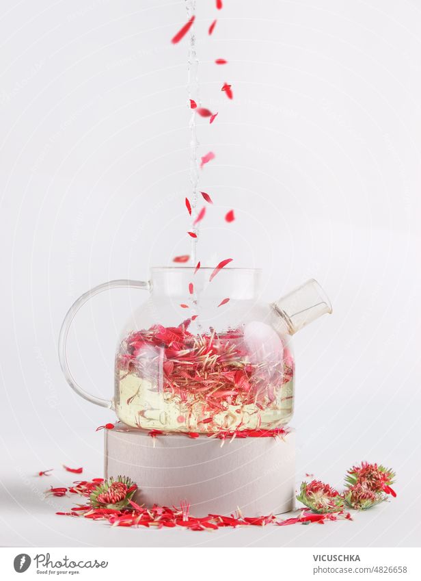 Blumentee mit fliegenden rosa Blütenblättern in Glaskanne auf weißem Hintergrund. Gesunder Lebensstil Tee Teekanne weißer Hintergrund Kräutertee Vorderansicht