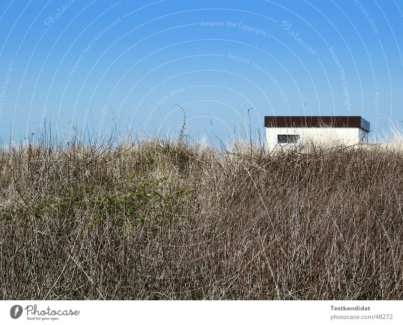 Haus in den Dünen Strand Fenster weiß Blauer Himmel blau Schönes Wetter Stranddüne Landschaft