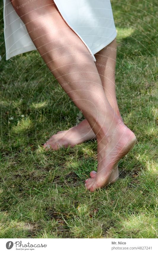 Sommergefühl Haut Beine Fuß Gras Barfuß Wiese Wade Nackte Haut Erholung Zufriedenheit Wohlgefühl Füße nackte Füße natürlich fühlen barfüßig Natur Gesundheit