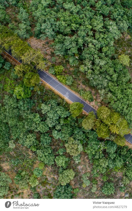 Drohne Luftaufnahme einer Straße auf einem Berg unter Eichen uav rpa Dröhnen natürlich Park Wälder Ausflugsziel Ökologie im Freien Sichtweise Antenne oben