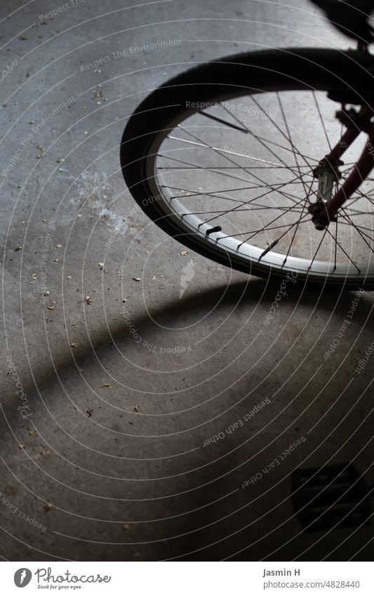 Teil von einem Vorderrad eines Fahrrades Teilaufnahme Rad Speichen Felge Fahrradreifen Menschenleer Reifen Detailaufnahme Farbfoto freiraum unten Schattenspiel